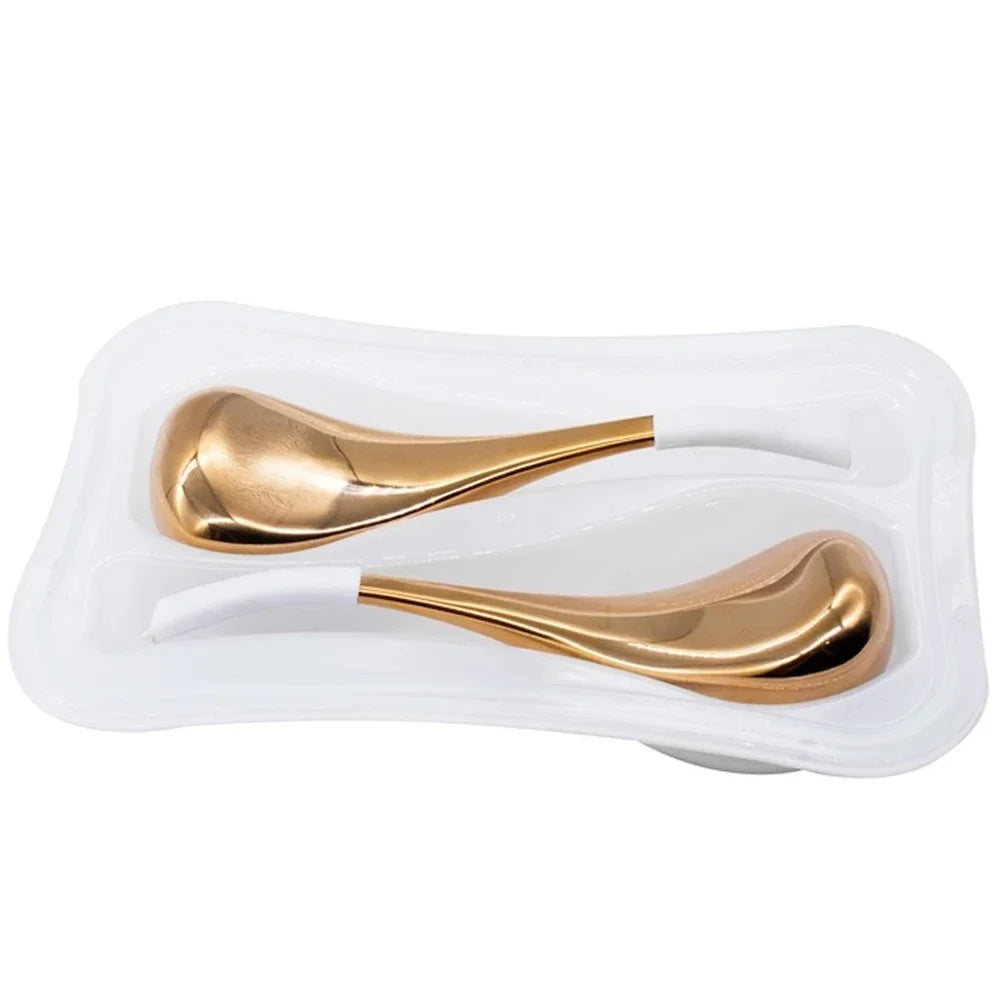 Ice Globes for Face: 2-Piece Stainless Steel Cryo Facial Massager Set Relaxation Treatment ROSE GOLD SET Tidesmit