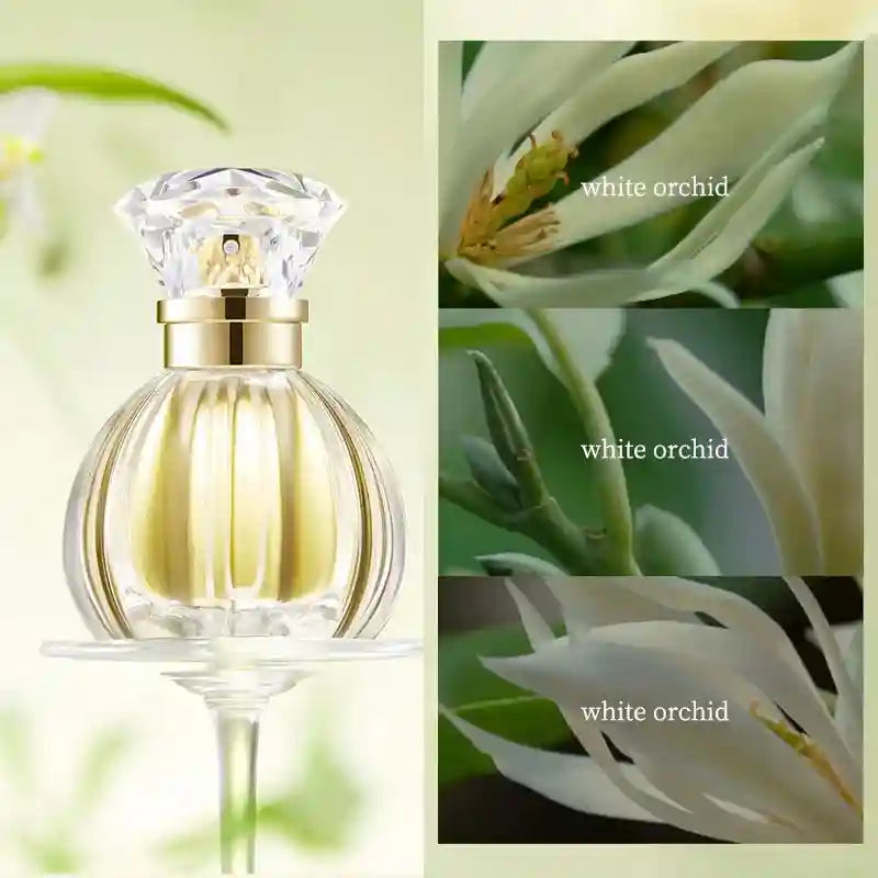 GECOMO Valley White Rose EDP 50ml: Women’s luxury floral perfume in a round glass bottle with crystal cap, white orchid.