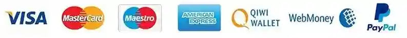 Logos for Visa, MasterCard, Maestro, American Express, Qiwi Wallet, WebMoney, and PayPal payment methods.