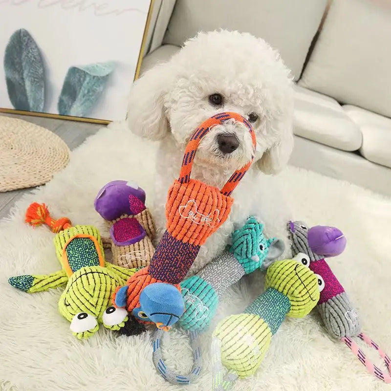 Cute white dog playing with colorful squeaky plush rope dog toys, designed for teeth cleaning and interactive play.