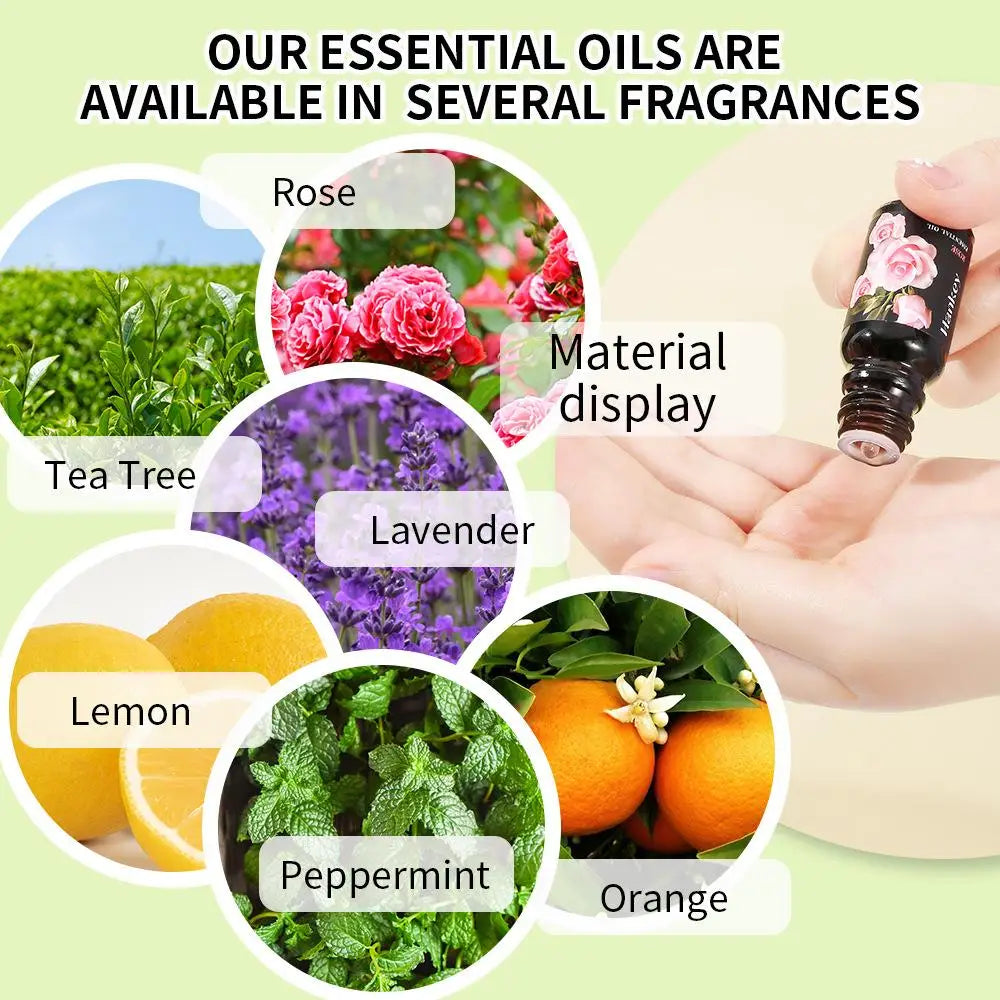 12 Flavors 10ml Essential Oils for Aroma Diffuser Air Humidifier Home Water-soluble Lavender Vanilla Orange Olive Fragrance Oil