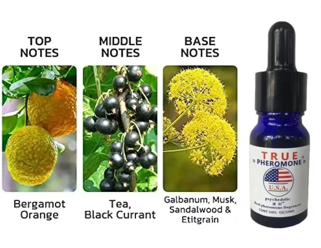 True Pheromone men's fragrance oil in blue dropper bottle. Bergamot, black currant, musk, and sandalwood scent notes.