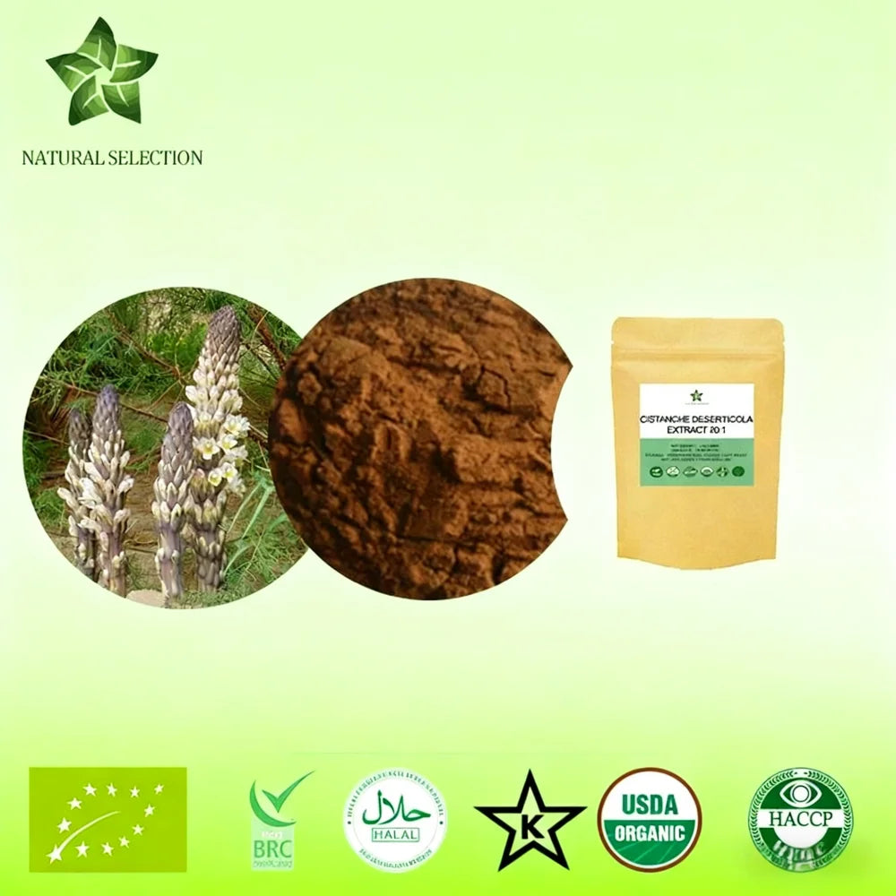 Factory Professional Wholesale Global Customized 20:1 Cistanche Deserticola Extract Natural Body Care Shimmer Powder Fast Shippi