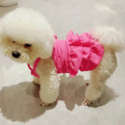 Fluffy white dog wearing a bright pink, textured, sleeveless layered ruffle princess dress.
