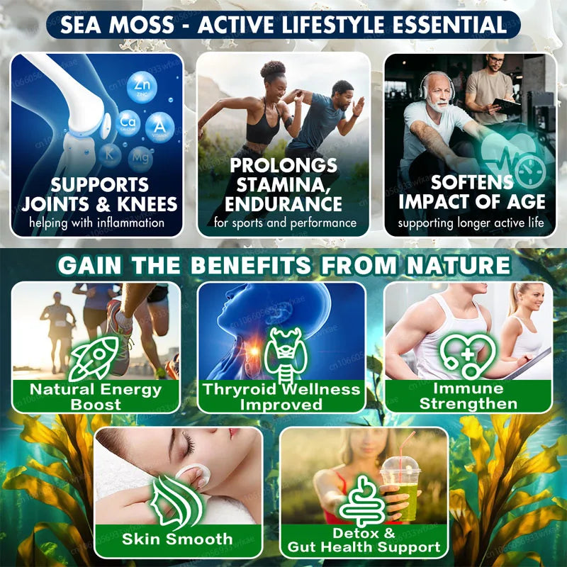Sea Moss 3000mg Black Seed Oil Capsules Ashwagandha SHILAJIT Ginseng Chlorophyll for Women & Men Boosting Bone Skin Health