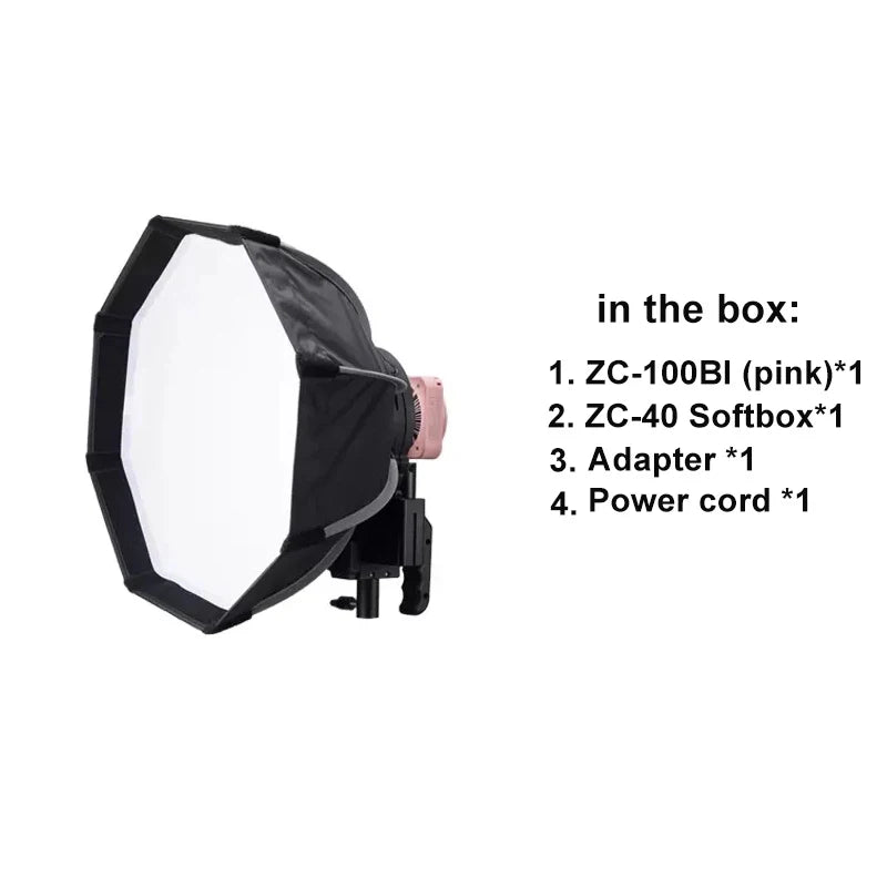 Pink ZC-100BI LED light with octagonal ZC-40 softbox, power adapter, and cord for photography lighting.