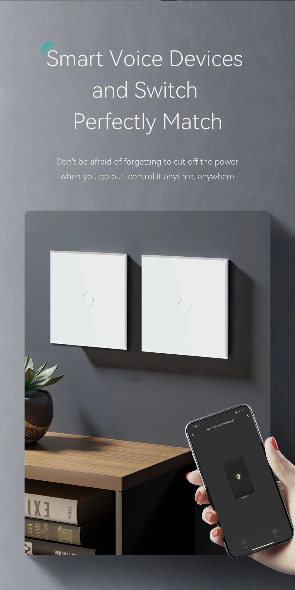 WiFi Smart Wall Switch with USB-C Port - Glass Panel Tidesmit Tidesmit