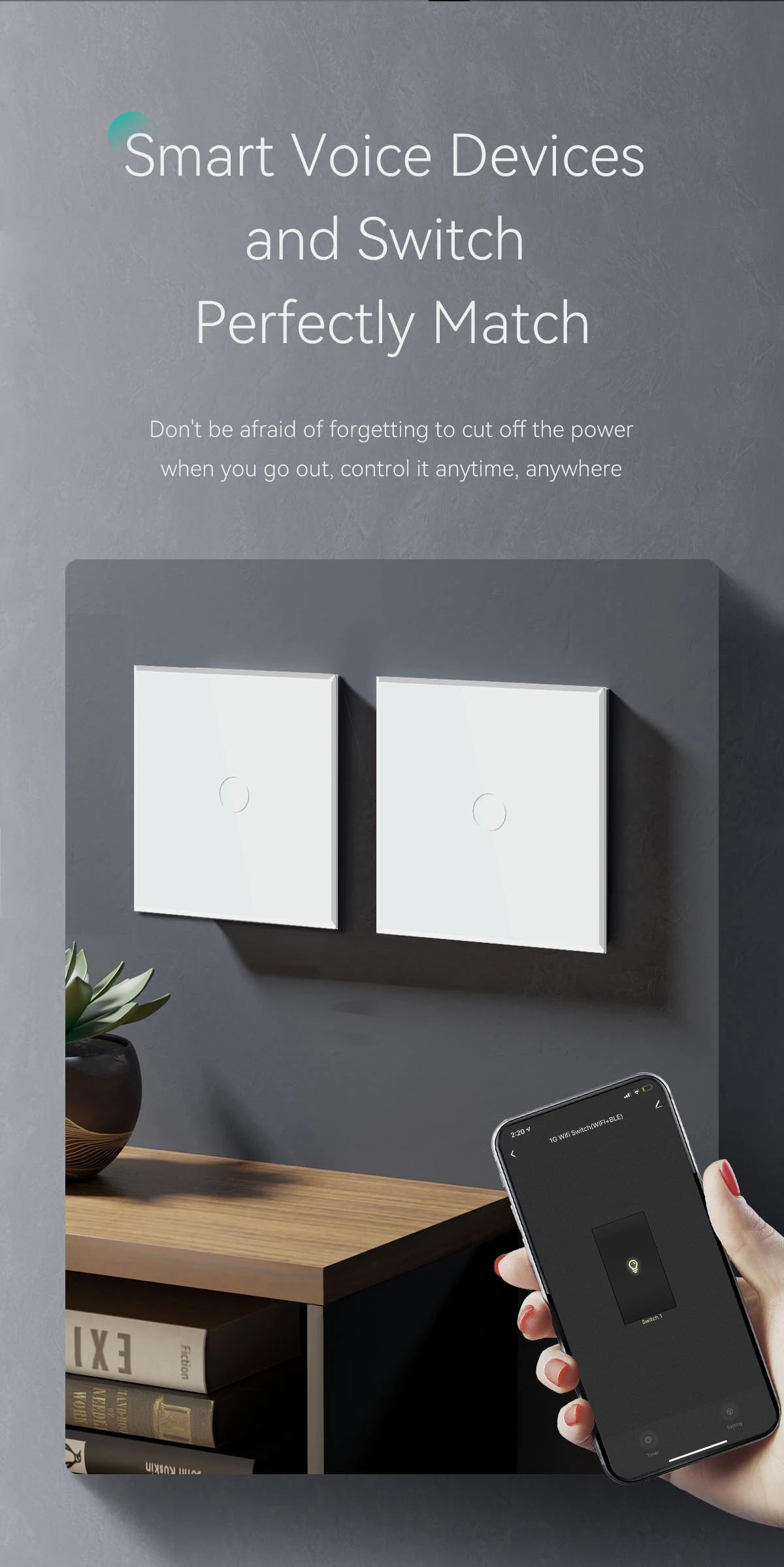 WiFi Smart Wall Switch with USB-C Port - Glass Panel Tidesmit Tidesmit