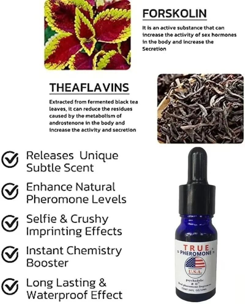 True Pheromone men’s fragrance oil in blue dropper bottle with Forskolin and Theaflavins for long-lasting attraction.