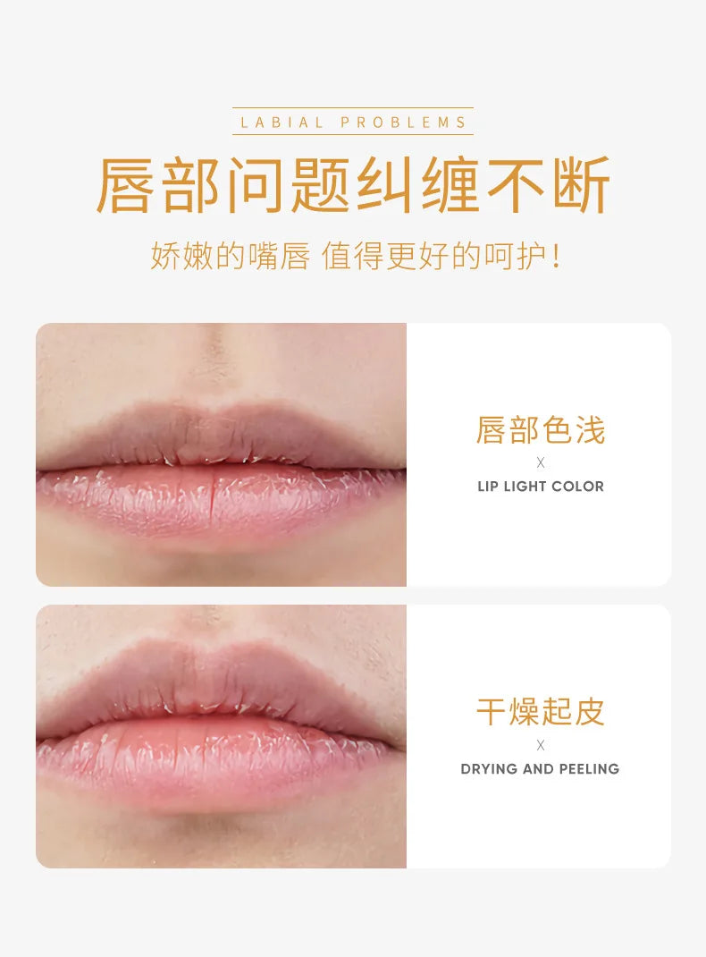 Moisturizing Lip Balm Jelly by Tidesmit – Cruelty-Free Lip Care Treatment Lip Care Tidesmit