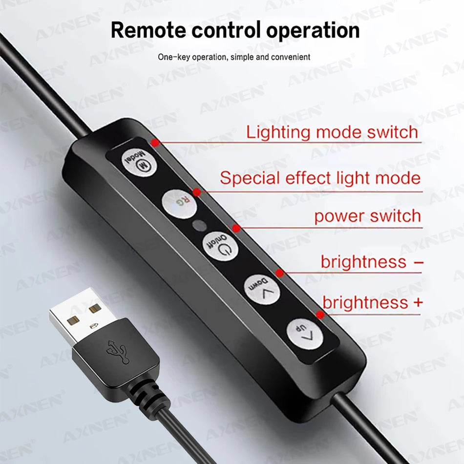 Black rectangular inline remote control with a USB connector, featuring five buttons to adjust lighting and brightness.