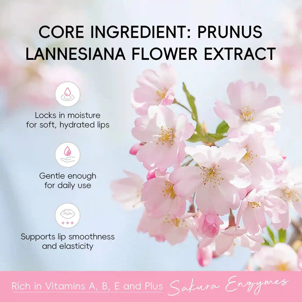 Sakura Lip Balm Hydrating Plumping Treatment 3.5g - Tidesmit Lip Care Lip Care Tidesmit