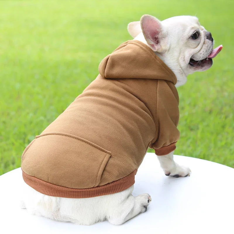 French Bulldog wearing a warm brown hooded sweater, perfect cozy autumn and winter clothing for small dogs.