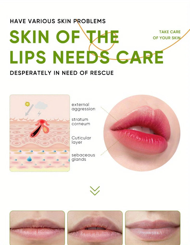 Aloe Lip Balm 3 Pack: Nourishing Lip Care Treatment by Tidesmit Lip Care Tidesmit