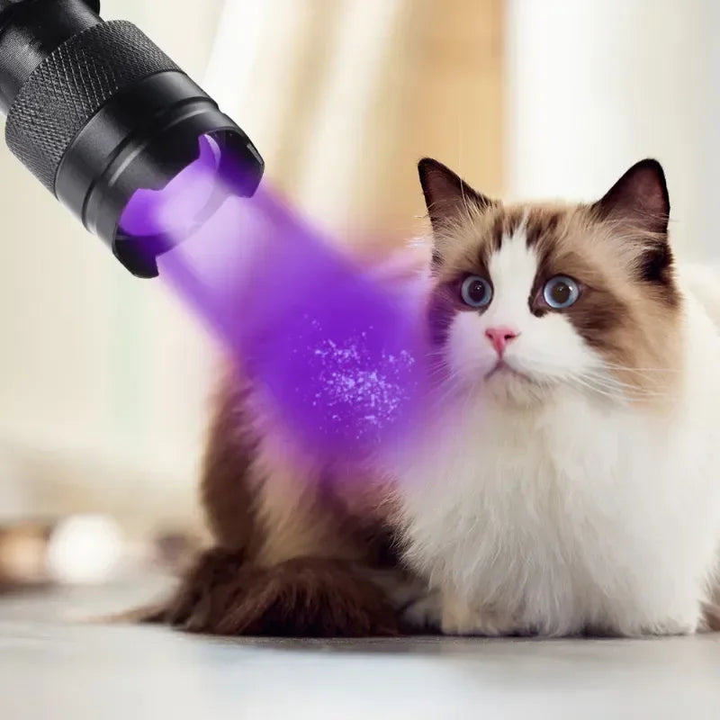 Portable black UV flashlight detecting pet urine stains on cat fur for deep cleaning.