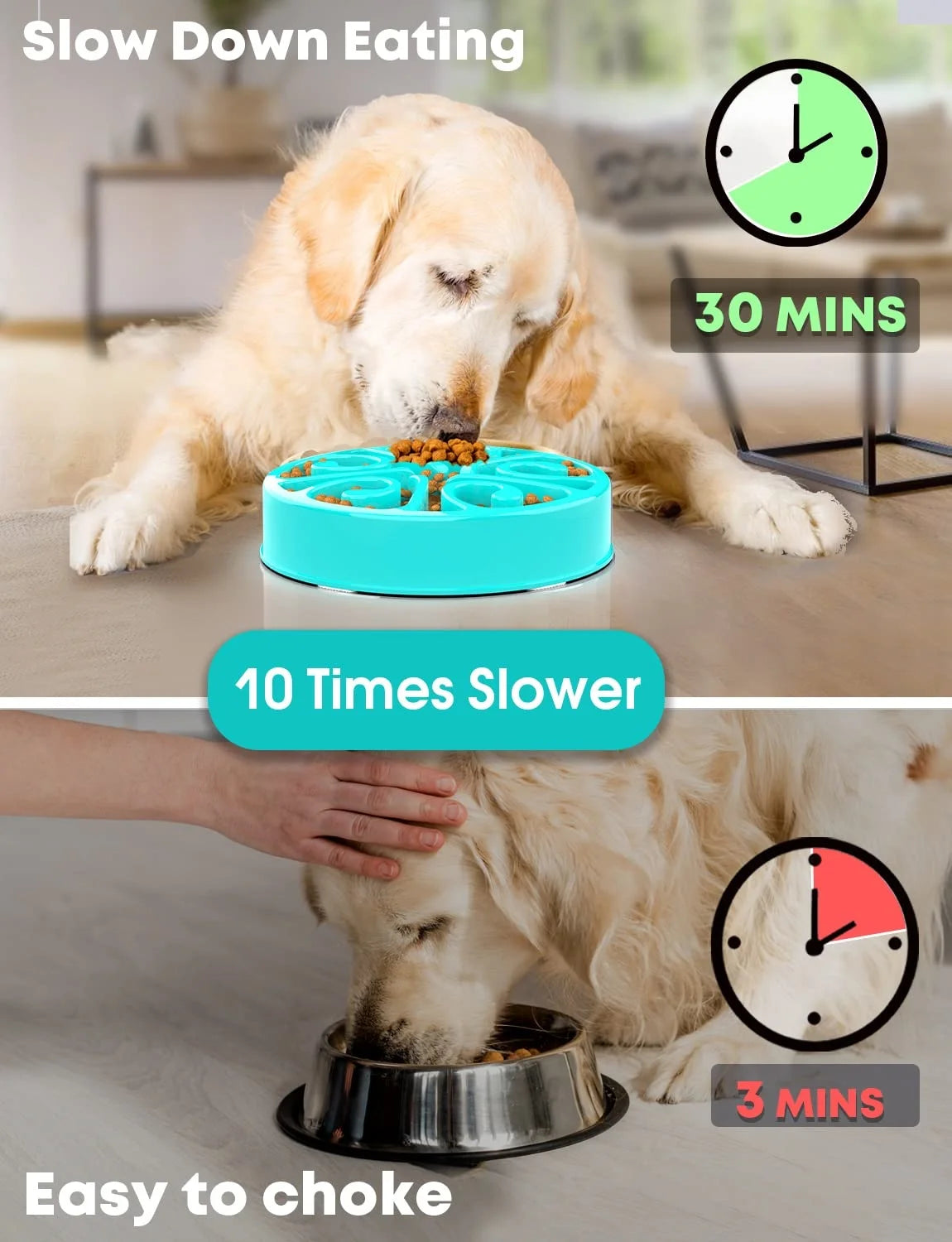 Turquoise non-slip eco dog slow feeder bowl prevents gulping for healthy, slower digestion in large and small dogs.