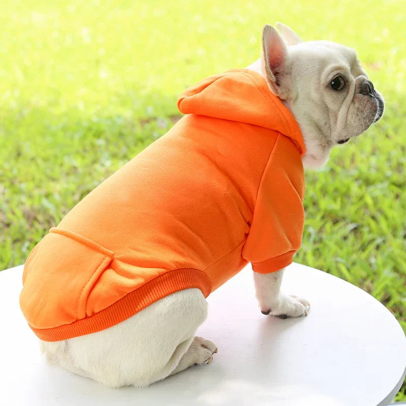 French Bulldog wearing a cozy, thick orange hooded sweater for warmth during autumn and winter.