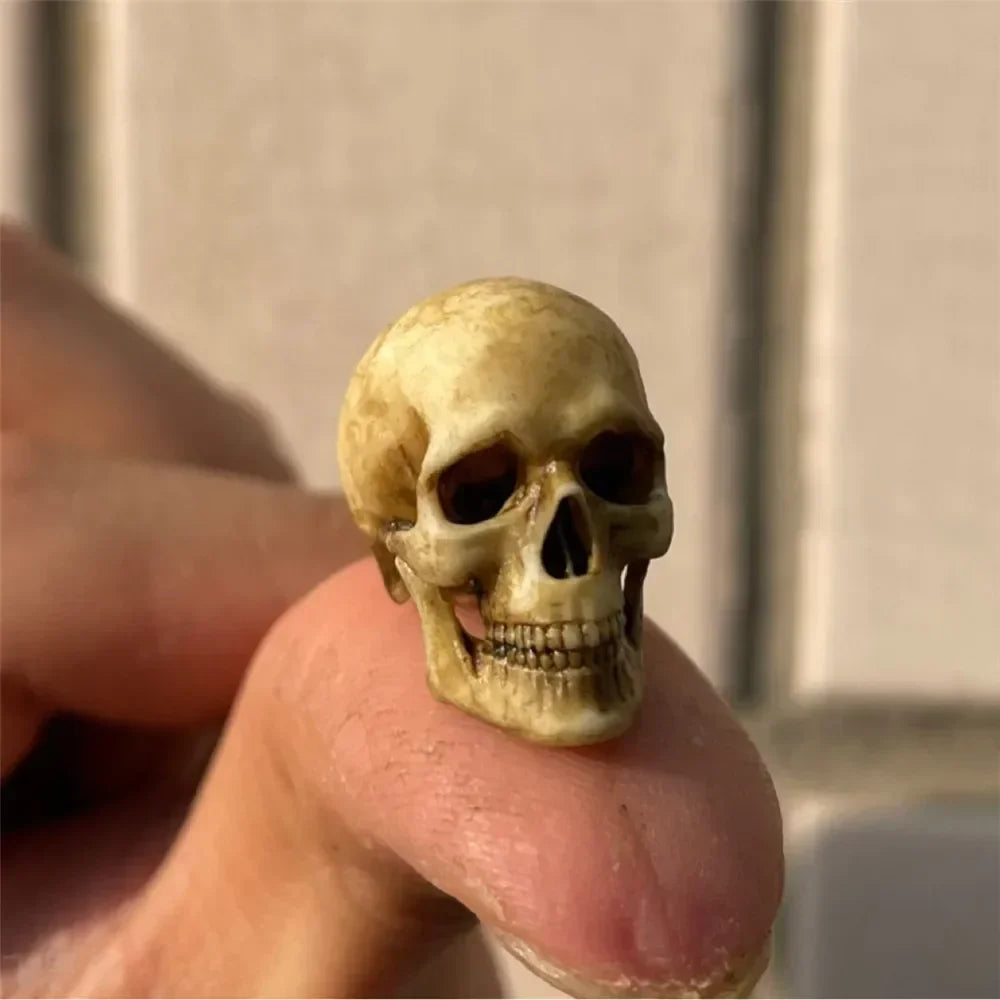 Miniature faux skeleton skull for lizard tanks or aquarium decoration, 1:12 scale realistic reptile habitat decor.