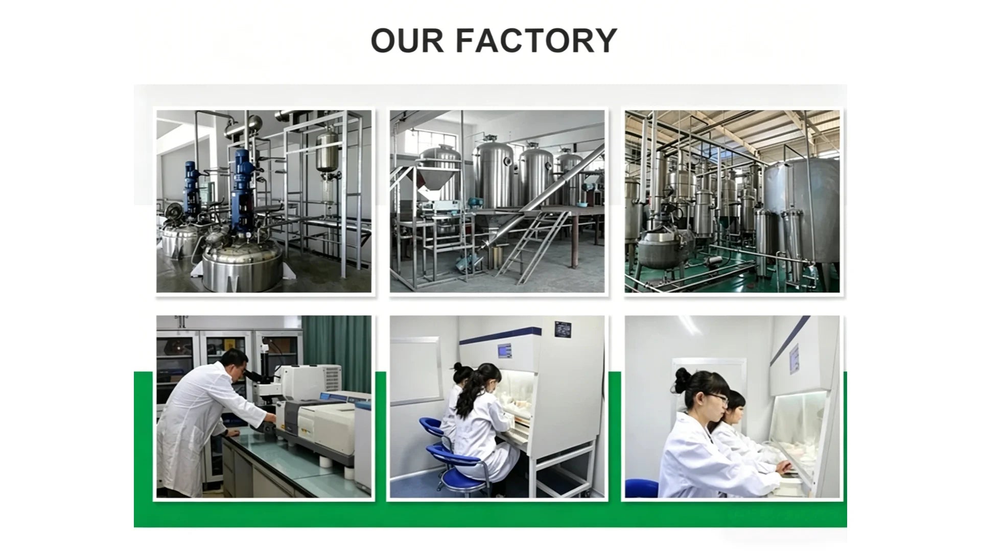 Global Customized Proportion Packaging Lions Mane Mushroom Extract Powder Bulk Hericium Erinaceus Out Packing Aluminum Foil Bag