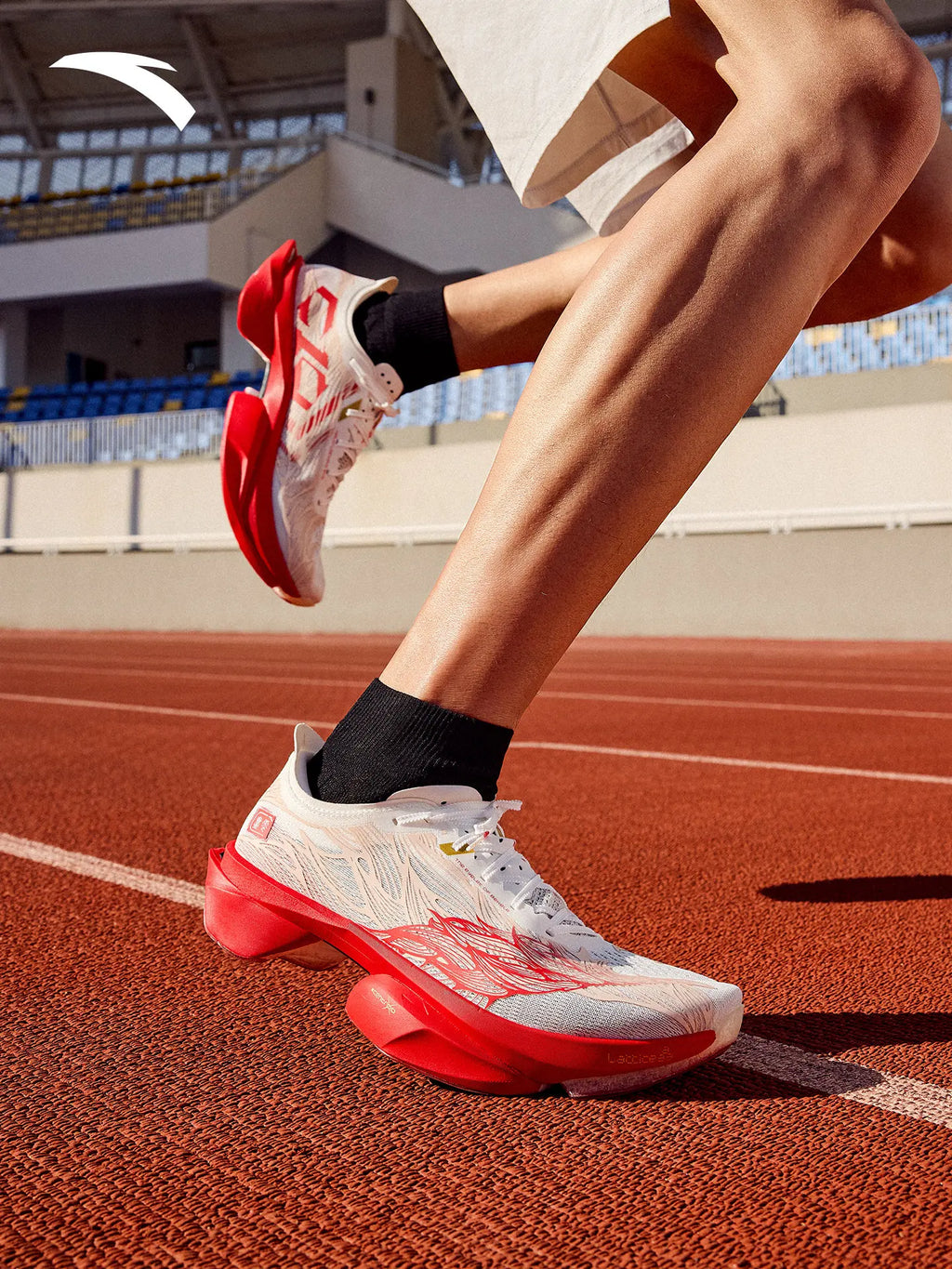 Anta × Xu Beihong's galloping horse figure joint name series C10 PRO 2 generation marathon running shoes men.