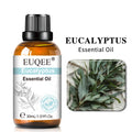 EUQEE 30ml Lavender Aromatherapy Essential Oil Sandalwood Eucalyptus Peppermint Citronella Vanilla Cinnamon Reed Diffuser Oils