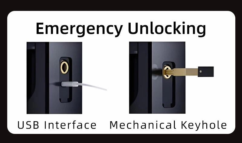 Wifi Wishome APP Face Recognition Smart Door Lock With Camera   Digital Door Lock Automatic Door Lock