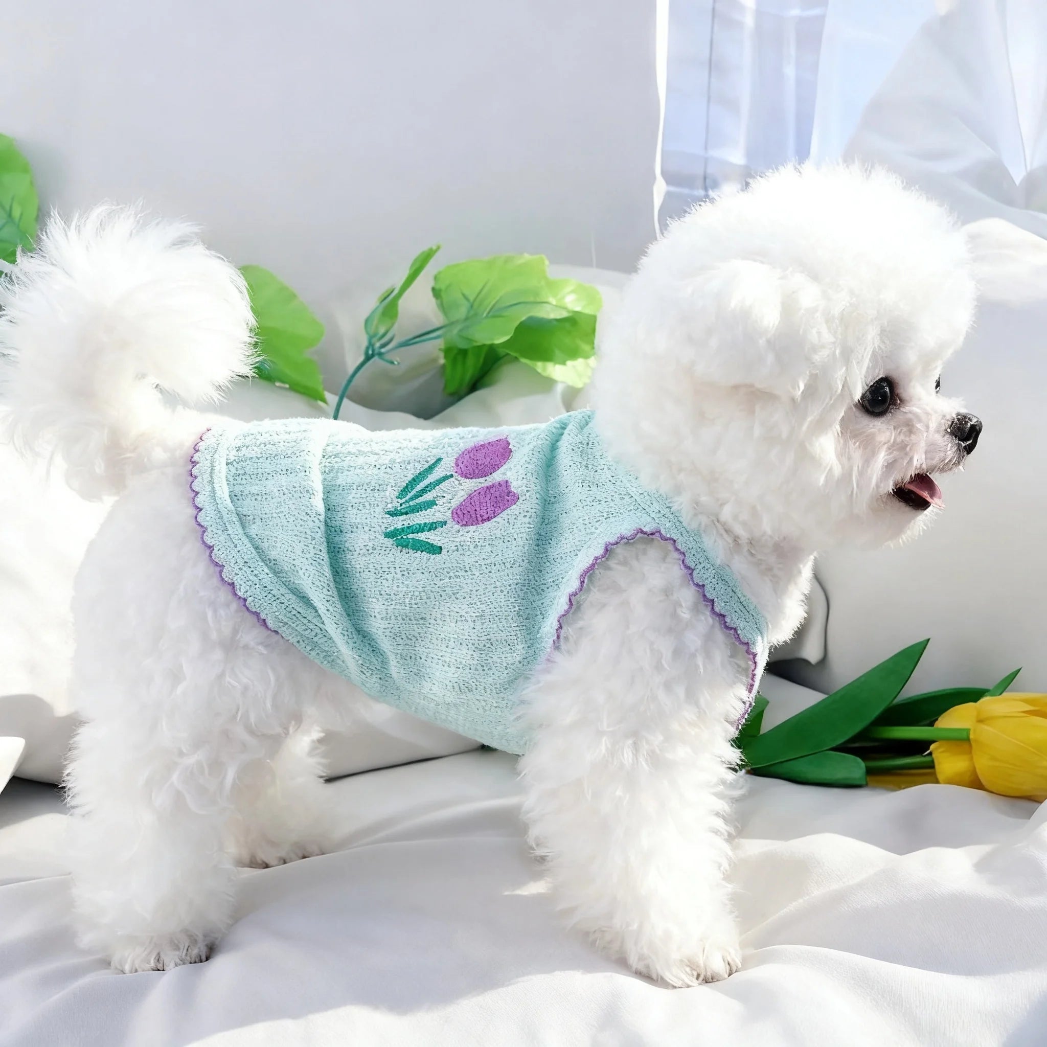 Soft, breathable light blue summer dog vest with purple flower print for small breeds like Bichons and Yorkies.