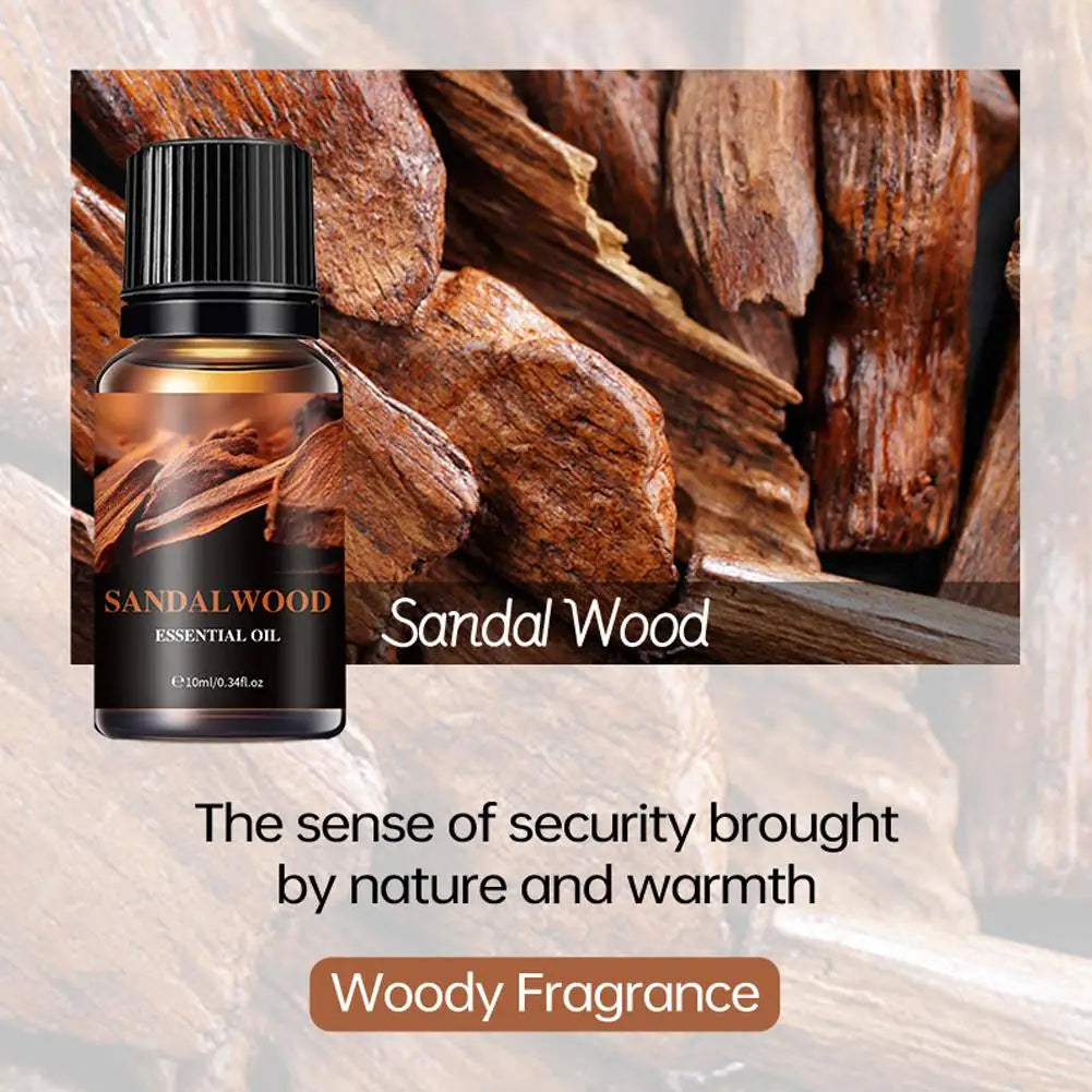 Aromatherapy Essential Oil 10ml Lemon Eucalyptus Lavender Eucalyptus Jasmine Rose Mint Orange Aroma Essential Oil