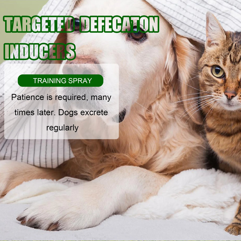 Dog and cat with potty training spray to help induce regular bathroom habits and indoor housebreaking for pets.