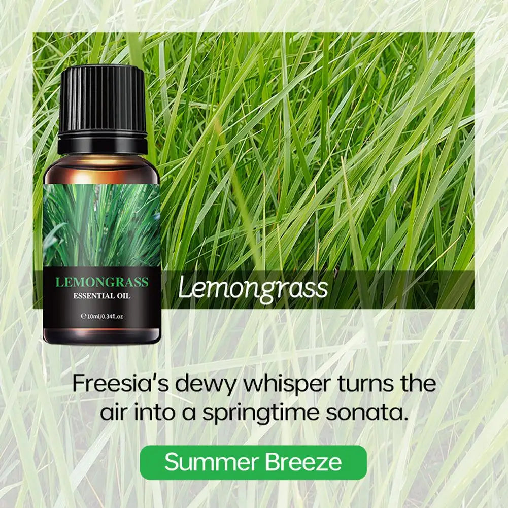 Aromatherapy Essential Oil 10ml Lemon Eucalyptus Lavender Eucalyptus Jasmine Rose Mint Orange Aroma Essential Oil