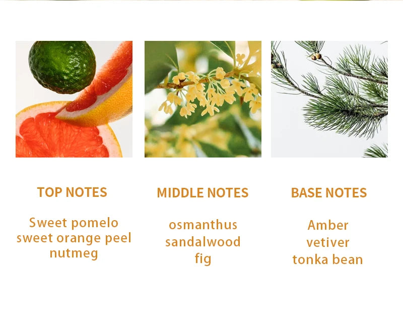 Marcas Originales Summer Fresh Pea: Long-lasting women's perfume with pomelo, osmanthus, and amber notes.