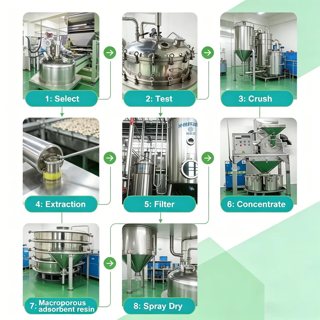 Customized Proportion Lions Mane Mushroom Extract Powder Packaging Bulk Hericium Erinaceus Out Packing Aluminum Foil Bag