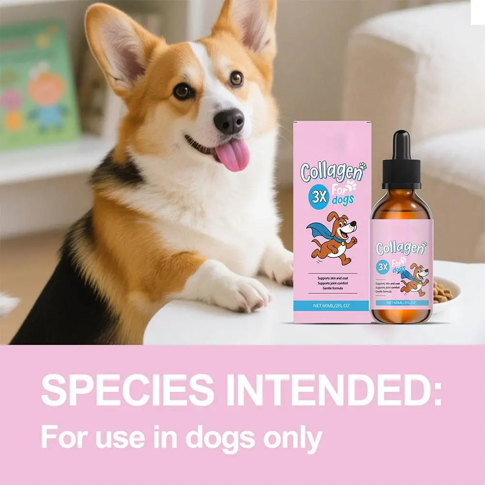 1/3/5-Piece Dog Collagen Drops Gentle Formula for Coat & Skin Care Main Dietary Supplement Dog Cleaning Supplies
