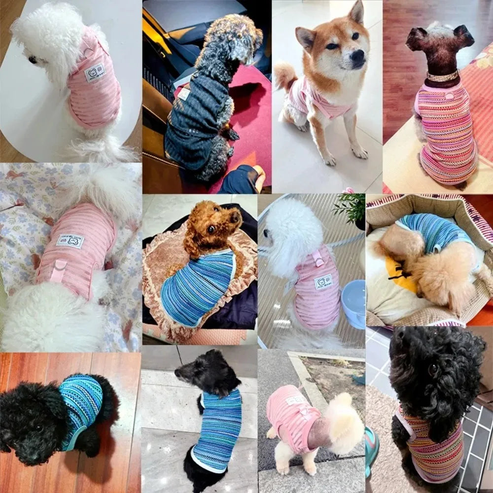 Breathable cooling summer vest for small to medium dogs in striped pink and blue fabric. Perfect casual puppy clothing.