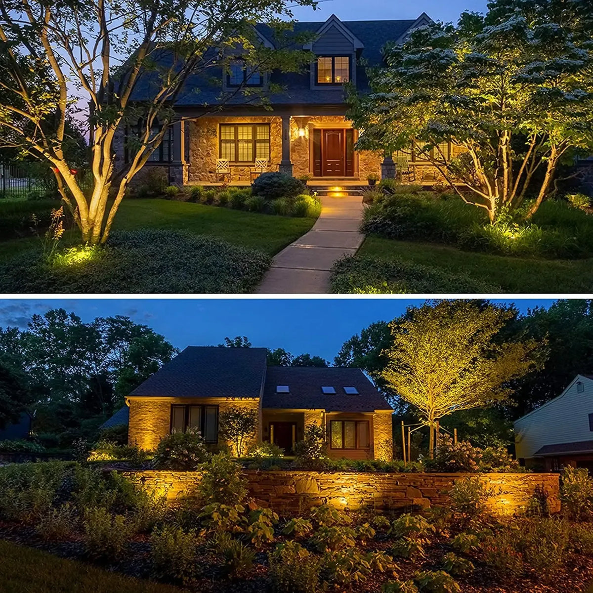 LED landscape spotlights casting warm light along front walkway and shrubs at night