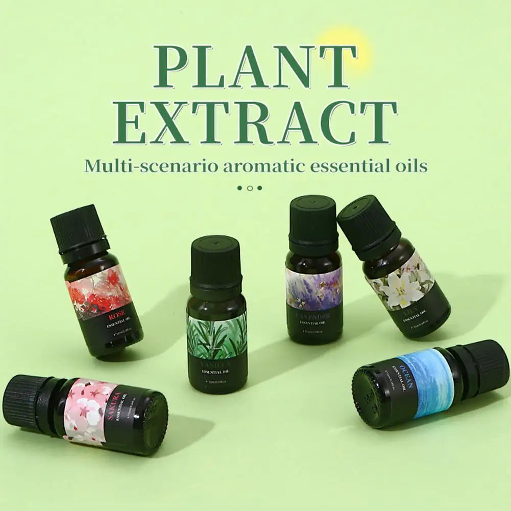 Aromatherapy Essential Oil 10ml Lemon Eucalyptus Lavender Eucalyptus Jasmine Rose Mint Orange Aroma Essential Oil