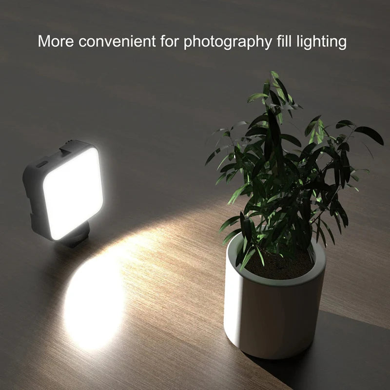 Square black LED video light illuminating a potted plant for photography fill lighting.