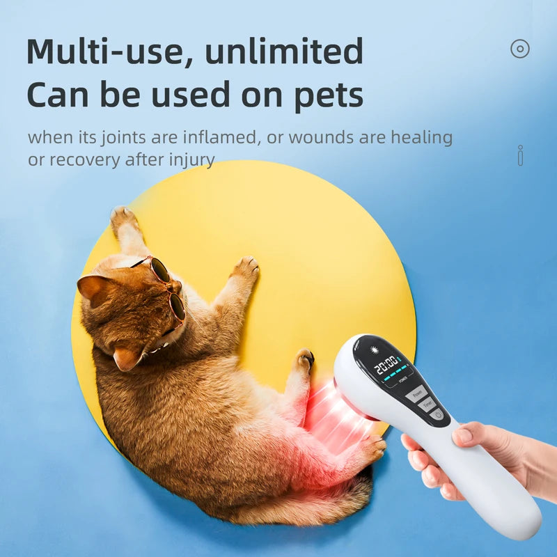 Handheld LLLT infrared red light therapy device with LCD screen treating a cat’s joint pain on a blue background.