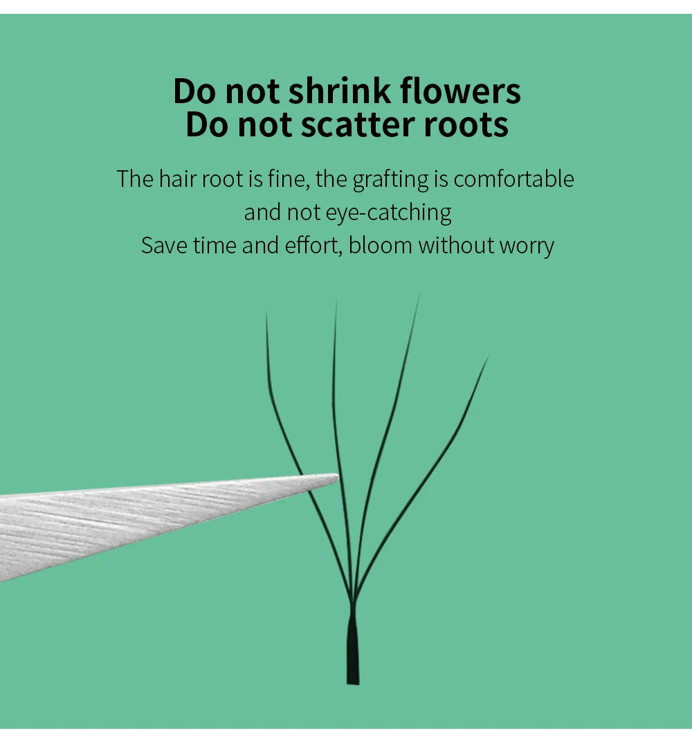 Silver tweezers holding a thin, black five-strand eyelash extension fan against a green background for grafting.