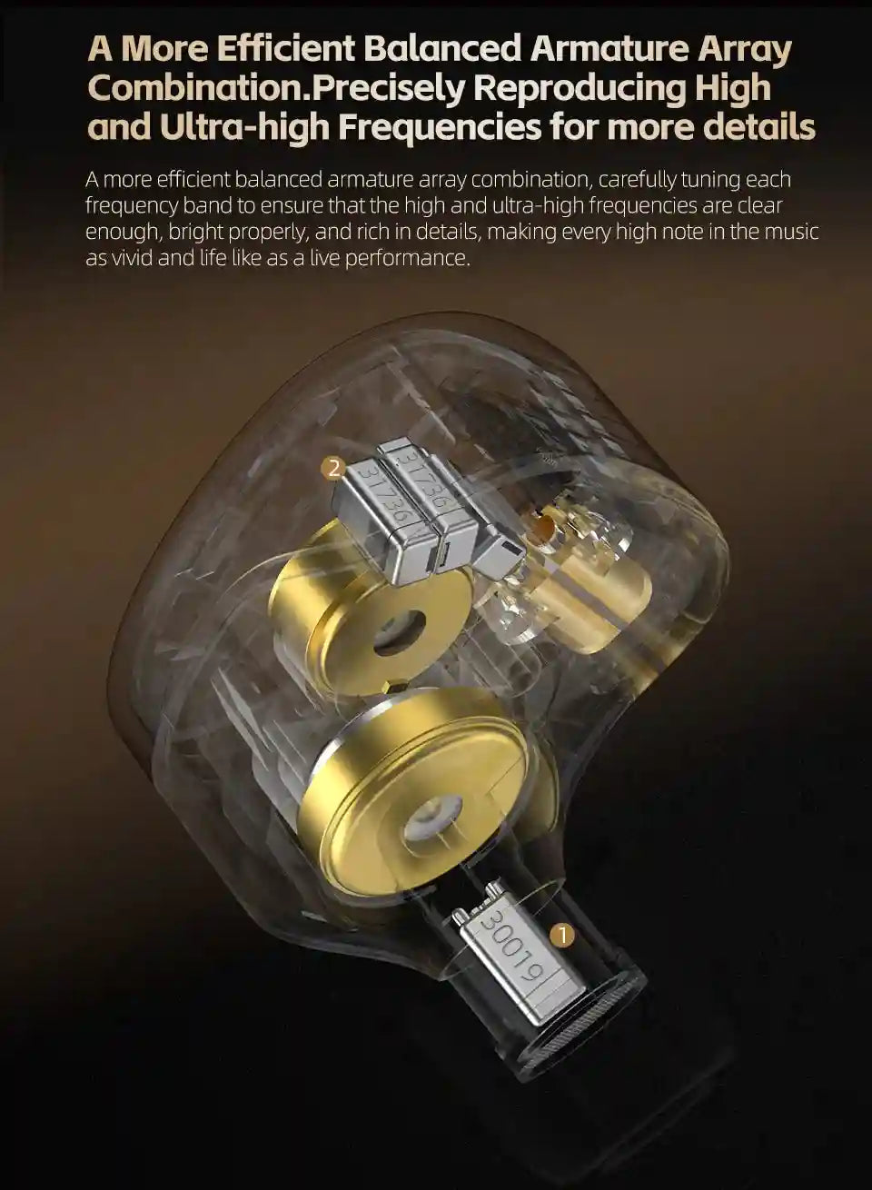 Wired In-Ear Monitors - Hybrid 2DD+4BA HiFi Drivers Black Tidesmit