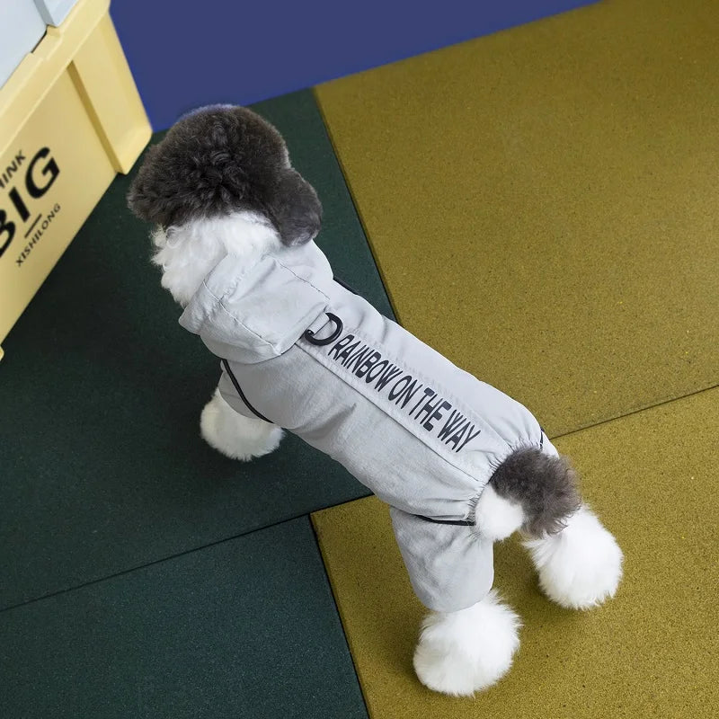 Small dog wearing a grey waterproof winter jumpsuit with hood for warmth and protection during cold, rainy walks.
