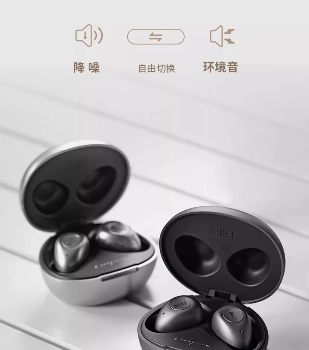 Tidesmit Hi-Fi Wireless Noise Cancelling Earbuds - Black & Gray Edition Tidesmit