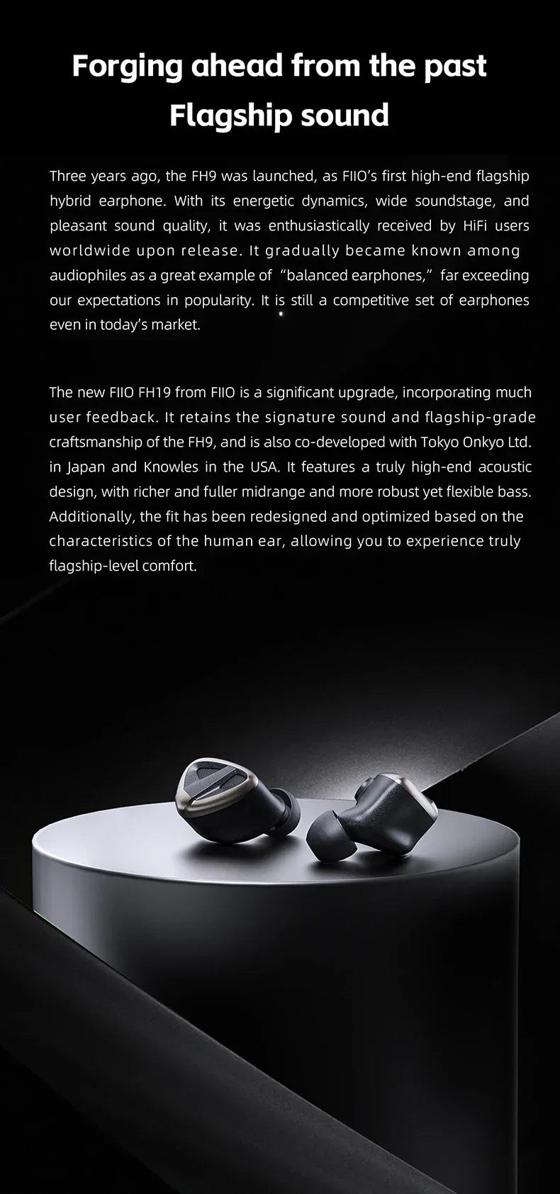 FiiO FH19 In-Ear Monitors 2DD+6BA Hybrid Audiophile Earphones by Tidesmit Tidesmit