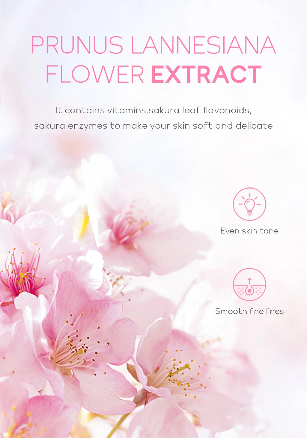 Cherry Blossom Exfoliating Gel - Deep Cleaning & Hydrating Formula 60g Scrubs Treatments Tidesmit