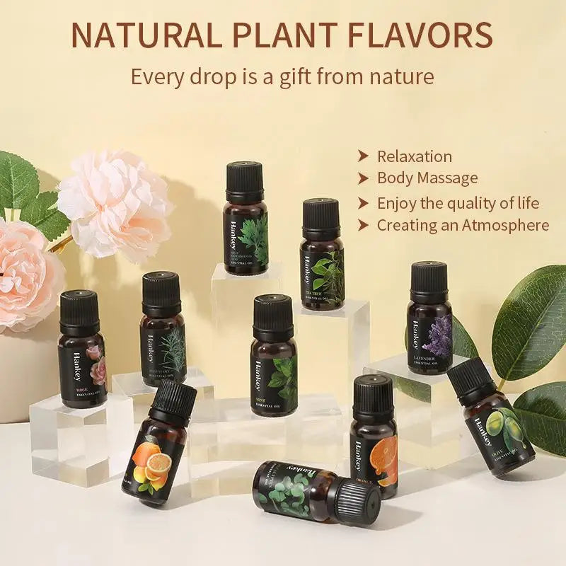 12 Flavors 10ml Essential Oils for Aroma Diffuser Air Humidifier Home Water-soluble Lavender Vanilla Orange Olive Fragrance Oil