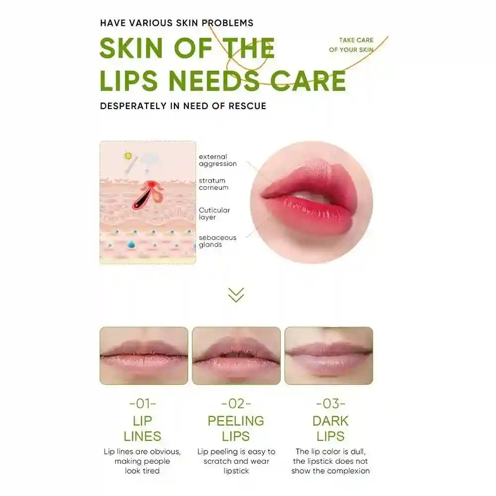 Aloe Vera Lip Balm 5-Pack: Nourishing Moisturizing Lip Treatment Lip Care Tidesmit