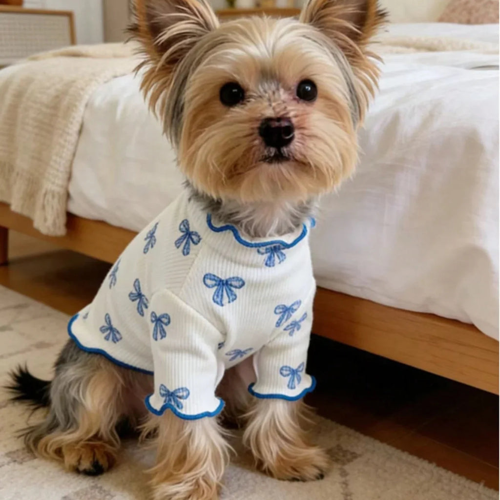 Yorkie wearing a white, breathable, high-elastic knit dog sweater with a blue bow tie print for comfortable style.