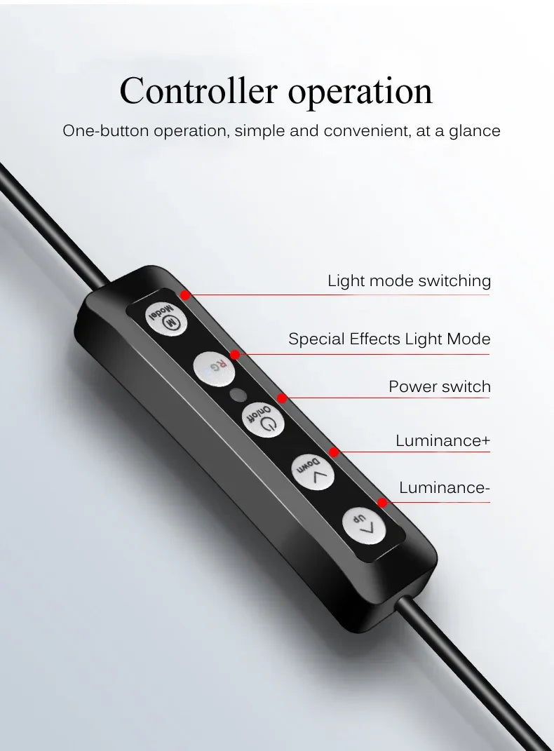 Black rectangular light controller with five labeled buttons for adjusting power, brightness, and lighting modes.