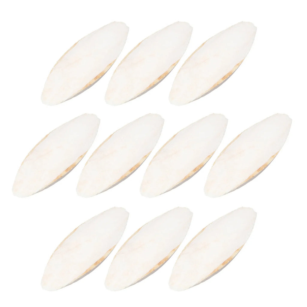 10pcs white cuttlebone for birds and hamsters. Natural calcium-rich chewing toy for beak health and pet enrichment.