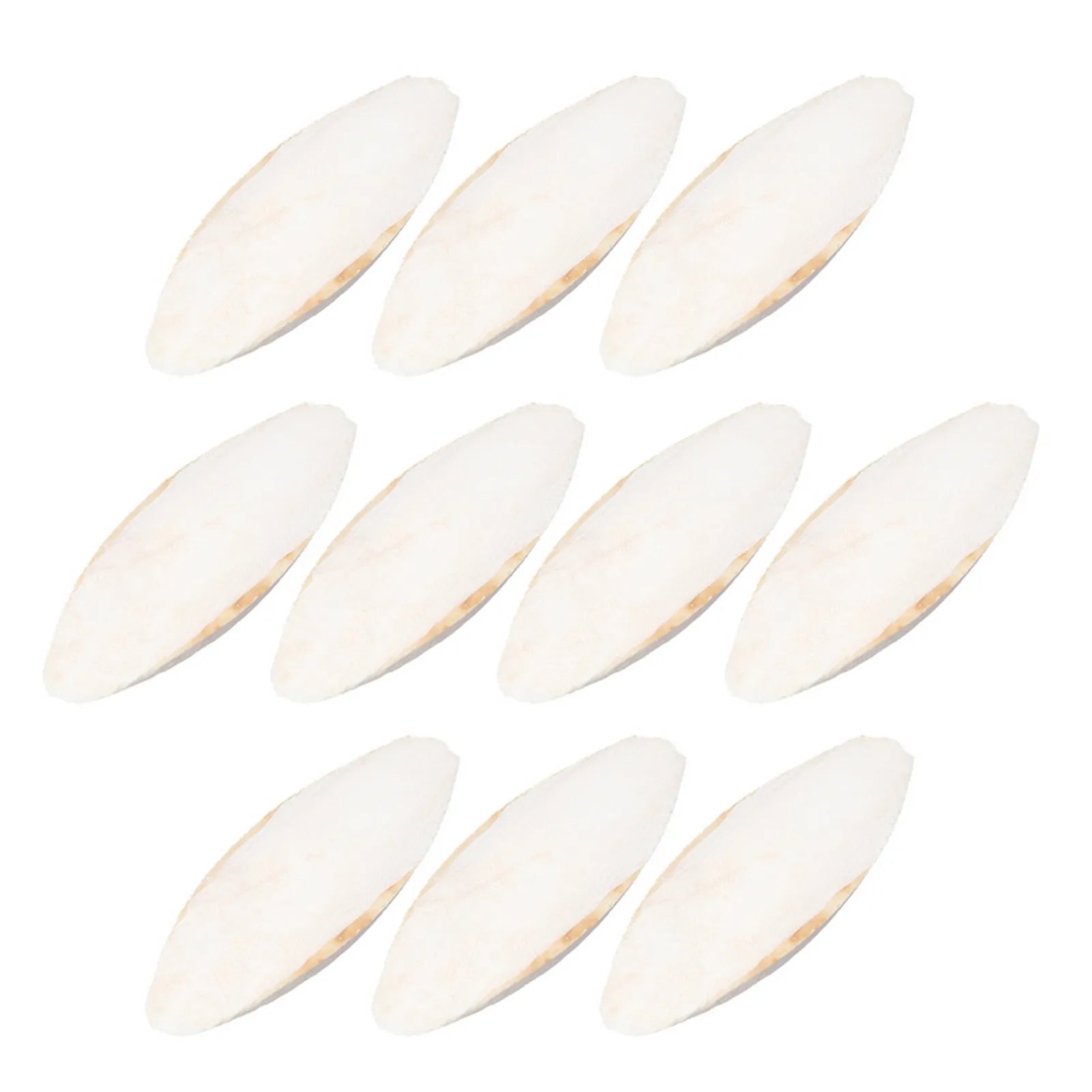 10pcs white cuttlebone for birds and hamsters. Natural calcium-rich chewing toy for beak health and pet enrichment.